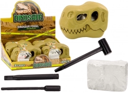 Archaeological Excavation Dinosaur Fossils Skull