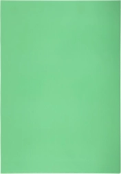 Transparent A4 L-Shaped Document Sleeve, Green PVC 140 Microns