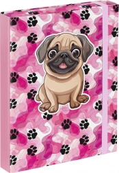 Mape za šolske zvezke A5 - Tačke