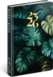 18 hónapos napló Petito Monstera 2025/2026