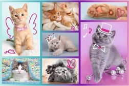 TREFL 60-piece Puzzle – Cute Kittens