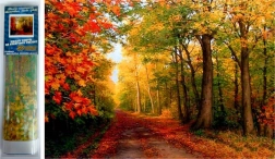 pittura diamantata autunno nel bosco 30 × 40 cm