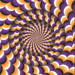 Optical Illusion Puzzle 1023 Pieces MAGNOLIA