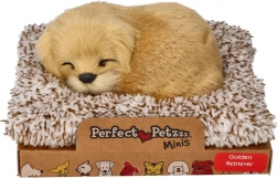 Lajajoči zlati prinašalec na ležišču