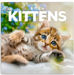 Poznámkový kalendář Koťata 2026