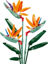 Sluban Flowers Strelitzia Reginae