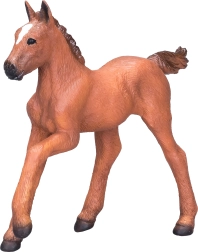 Mojo Arabian Light Brown Foal