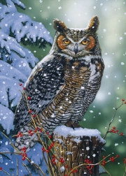 Puzzle Osservatore silenzioso 500 pezzi ALIPSON