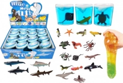 Nyálka tengeri állatkával