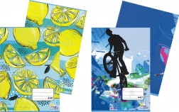A4 School Notebook plain 40 sheets (assorted)