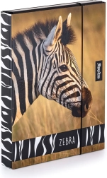 Škatla za zvezke A4 Jumbo z motivom Zebra