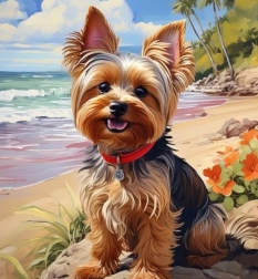 Diamantmaling yorkshire på stranden 30 × 40 cm