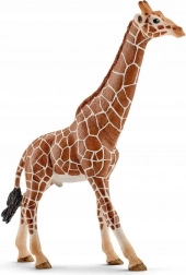Schleich Wild Life Giraffe Male Figure