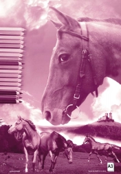 Skicirka A3 40 listov