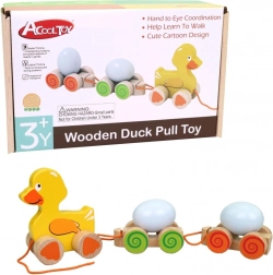 Trascinabile in legno Anatra