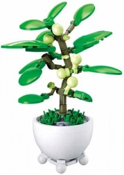 Sluban tropikalna roślina w doniczce