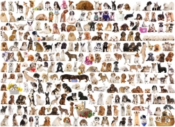 Eurographics Puzzle World of Dogs 1000 Pieces