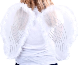 Most Beautiful White Angel Wings