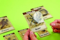 educational excavation kit – bugs