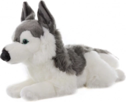 Plush Husky 43 cm