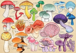 Puzzle Mania di funghi 1000 pezzi