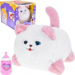 Interactive Cat Pusia