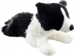 Plush Border Collie Dog 70 cm