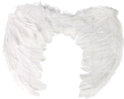 Andělská křídla s peřím