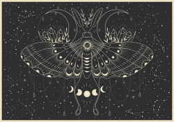 Puzzle Galaxy: Mesečev metulj 500 koščkov