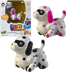 Cagnolino che viaggia su una linea disegnata