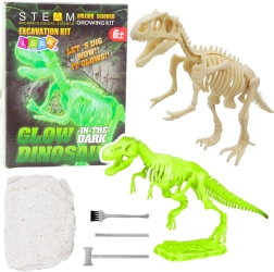 Archaeology Set – Glowing Dinosaur Skeleton with Tools