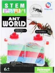 kreatívna sada – svet mravcov