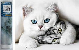 Diamond Painting Cat Secrets 30 × 40 cm Norimpex