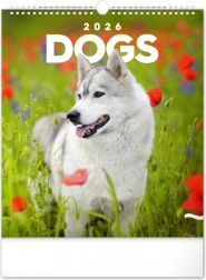 Calendario da parete Cani 2026
