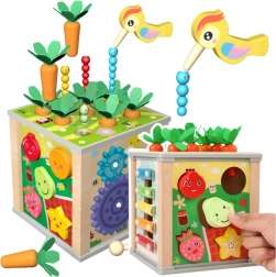 Fa oktató kocka 6 az 1-ben