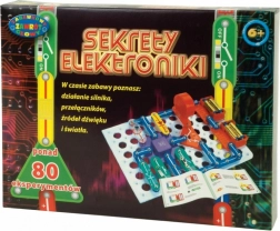 Geheimen van elektronica 80 experimenten