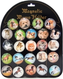 Set di magneti con cani, gatti e cavalli 24 pz