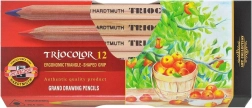 Trikotne barvice Triocolor 12 kosov KOH-I-NOOR