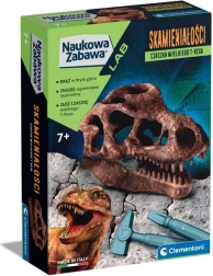 Scientific set fossil T-Rex skull