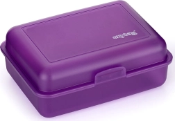 Paarse lunchbox voor kinderen