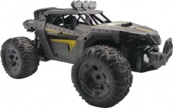 RC terreinwagen Pioneer met camera, grijs, 1:12