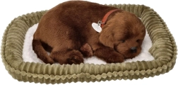 Plush Snoring Puppy – Chocolate Labrador on a Pet Bed