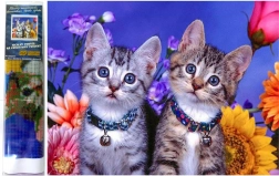 Diamond Painting Two Kittens 30x40 cm