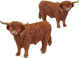 Bull from the highland plateau