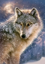 puzzle 500 pièces lone wolf