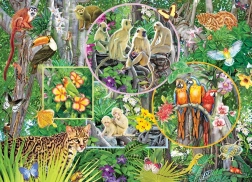 Puzzle per famiglie Incanto della foresta pluviale 350 pezzi COBBLE HILL