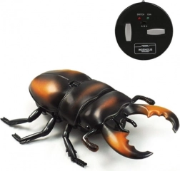 RC Stag Beetle with Infrared Control