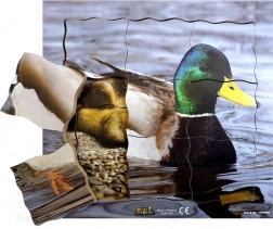 Wooden Layered Puzzle Duck and its Life Cycle - 19 Pieces
