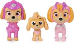 PAW Patrol-figuurtjes – 3 generaties Skye