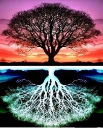 Dijamantno slikanje Stablo 30x40 cm